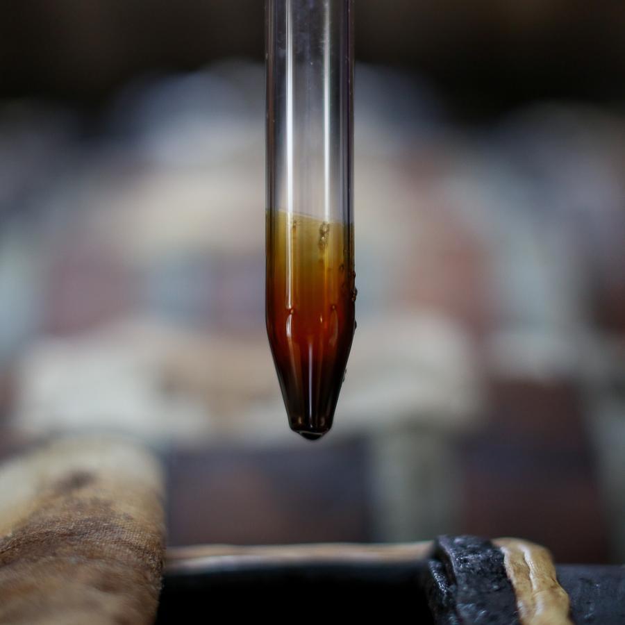 Le Dimore De Il Borgo Del Balsamico Albinea エクステリア 写真